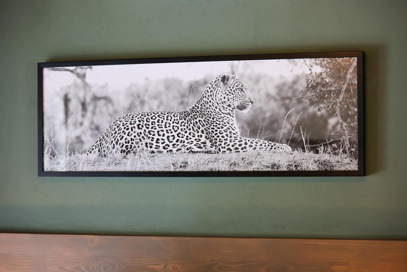Tomo Safari Lodge Hoedspruit Rom bilde